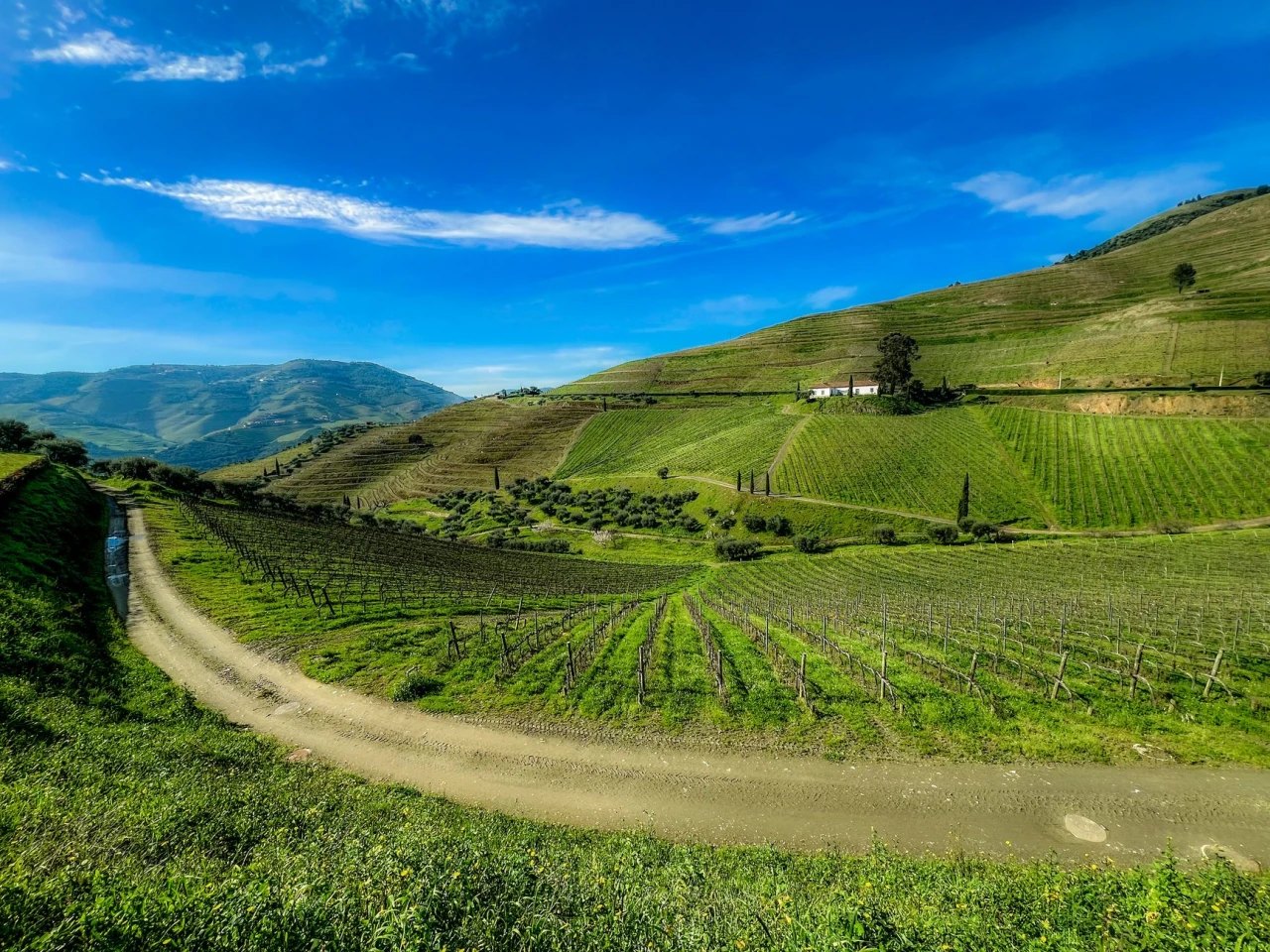 Hiking trails festival in Alijó, Douro Valley