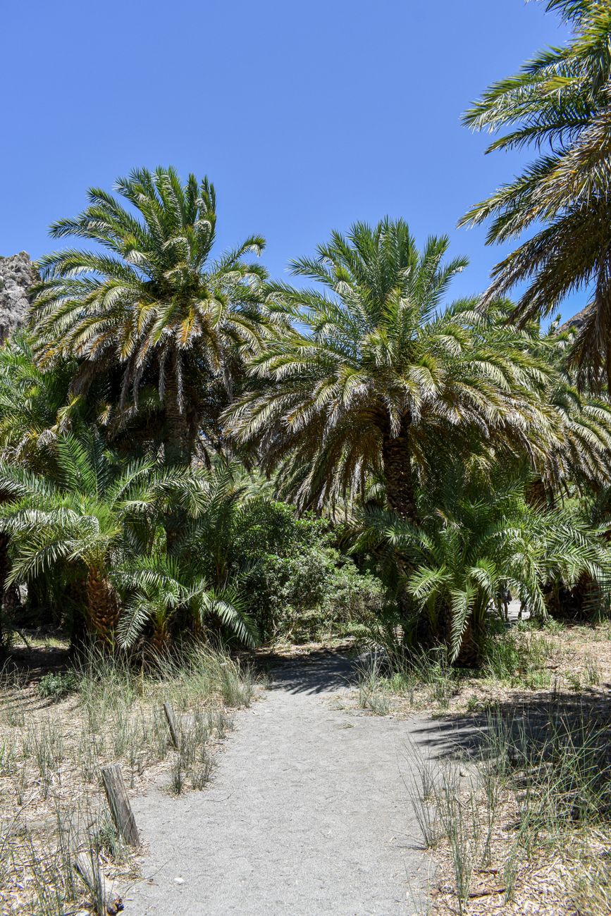 Praia de Preveli